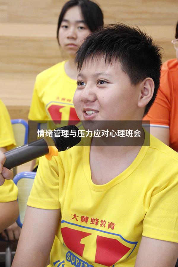 情绪管理与压力应对心理班会