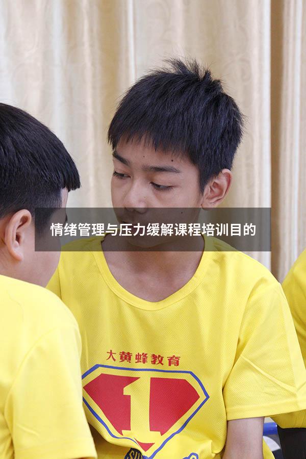 情绪管理与压力缓解课程培训目的