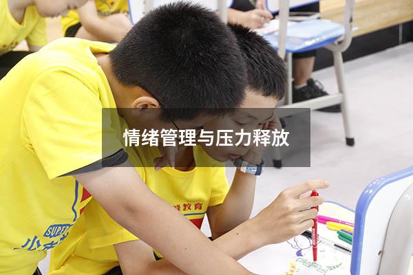 情绪管理与压力释放