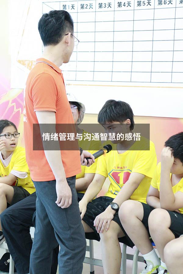 情绪管理与沟通智慧的感悟