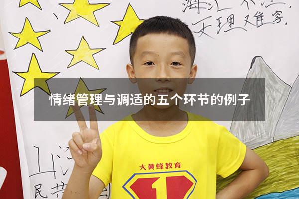 情绪管理与调适的五个环节的例子