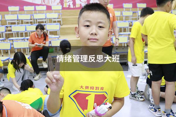 情绪管理反思大班