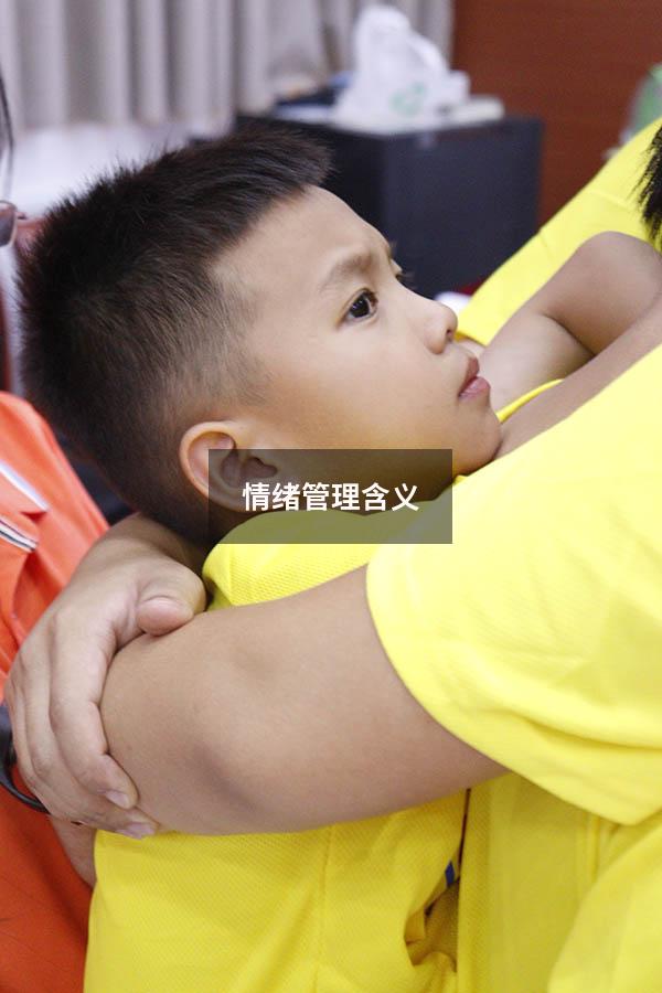 情绪管理含义