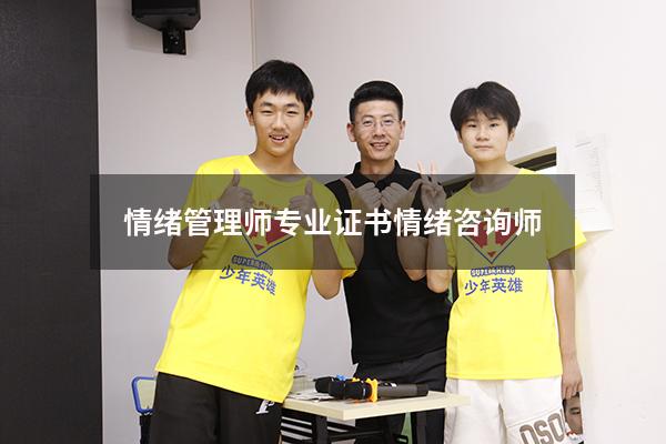 情绪管理师专业证书（情绪咨询师）