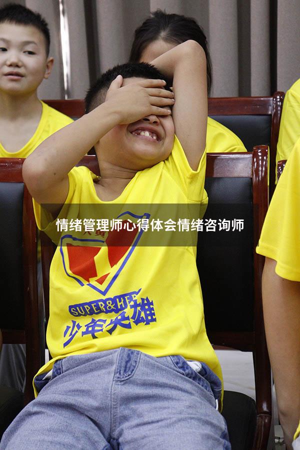 情绪管理师心得体会（情绪咨询师）