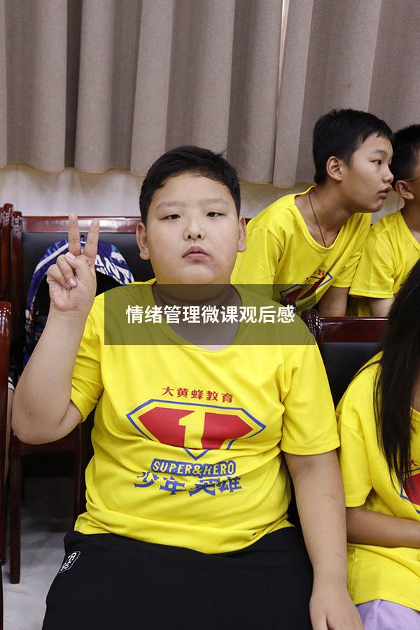 情绪管理微课观后感