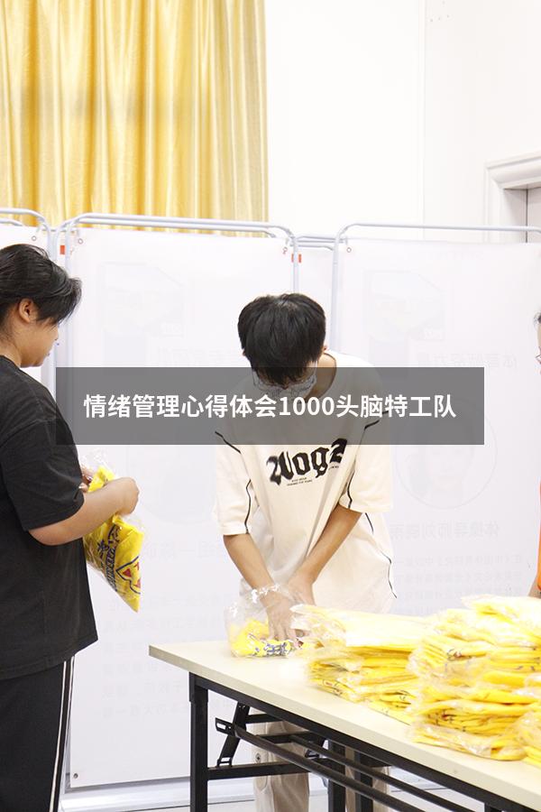 情绪管理心得体会1000头脑特工队