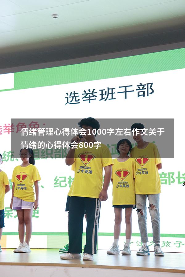 情绪管理心得体会1000字左右作文（关于情绪的心得体会800字）