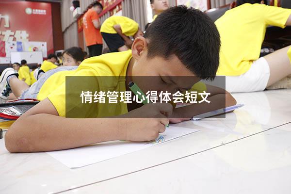 情绪管理心得体会短文