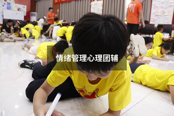 情绪管理心理团辅