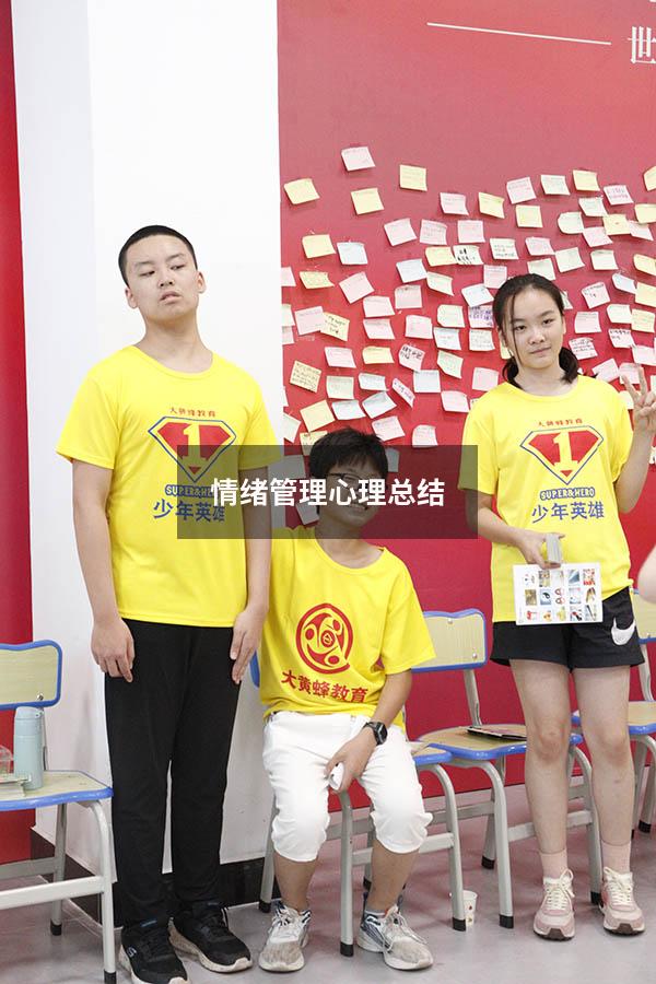 情绪管理心理总结