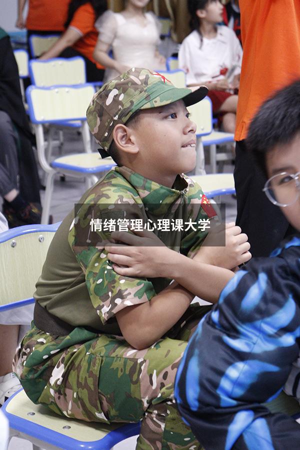 情绪管理心理课大学