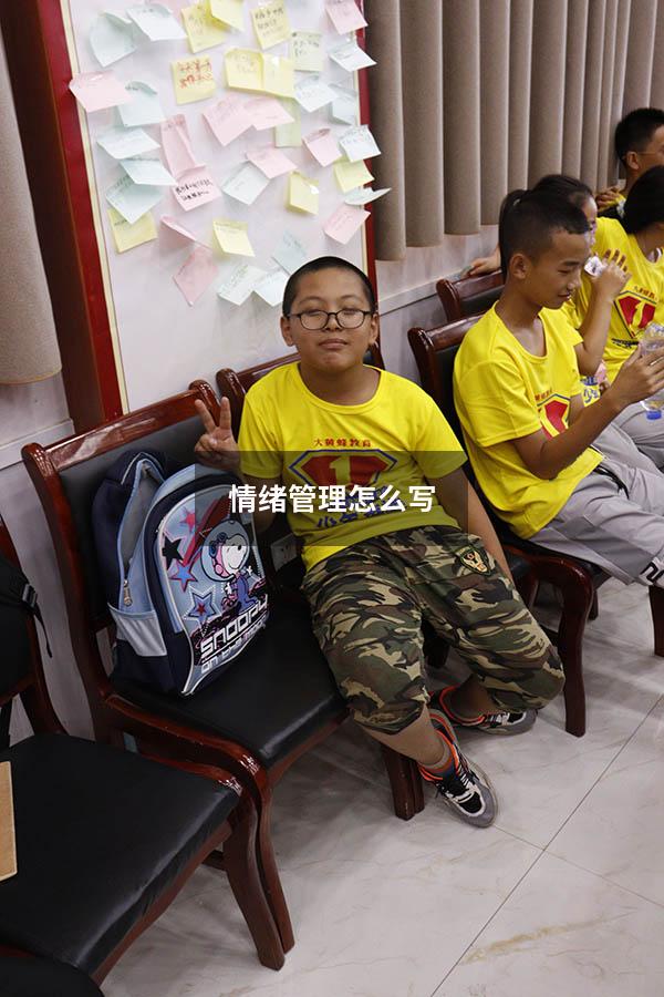 情绪管理怎么写