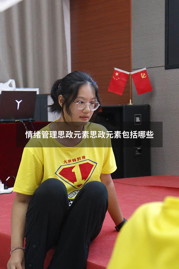 情绪管理思政元素（思政元素包括哪些）