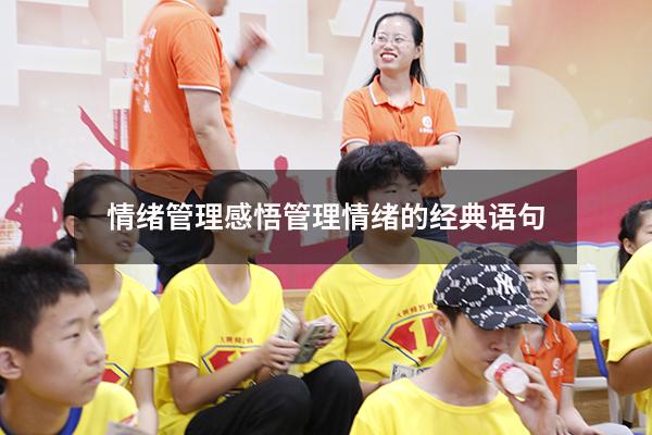 情绪管理感悟（管理情绪的经典语句）