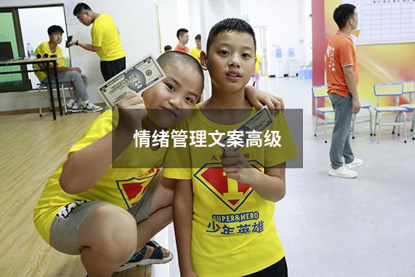 情绪管理文案高级