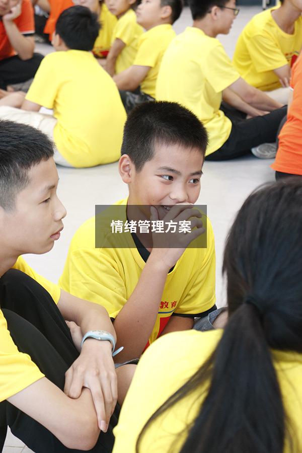 情绪管理方案