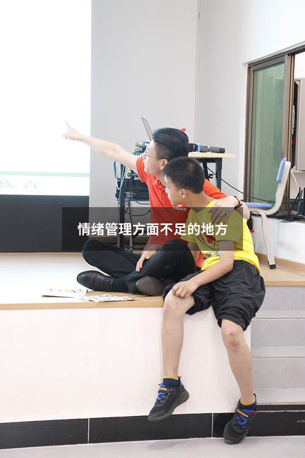情绪管理方面不足的地方