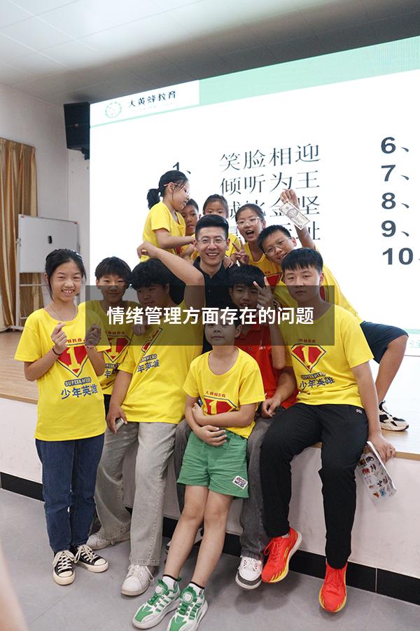 情绪管理方面存在的问题
