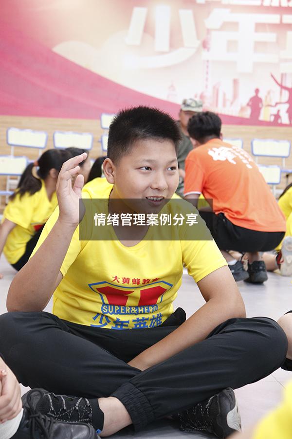 情绪管理案例分享