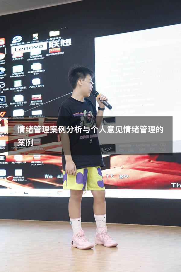 情绪管理案例分析与个人意见（情绪管理的案例）
