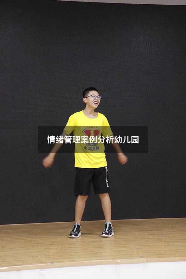 情绪管理案例分析幼儿园