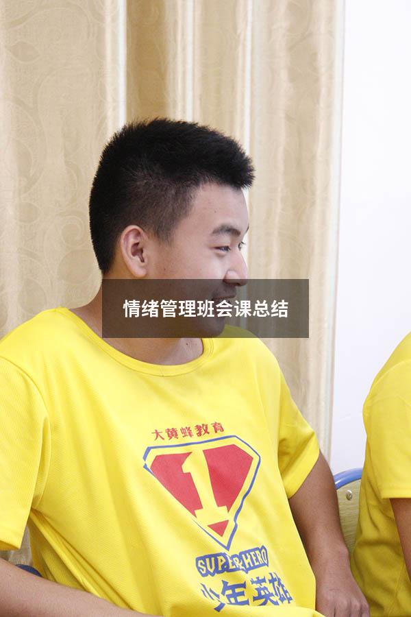 情绪管理班会课总结