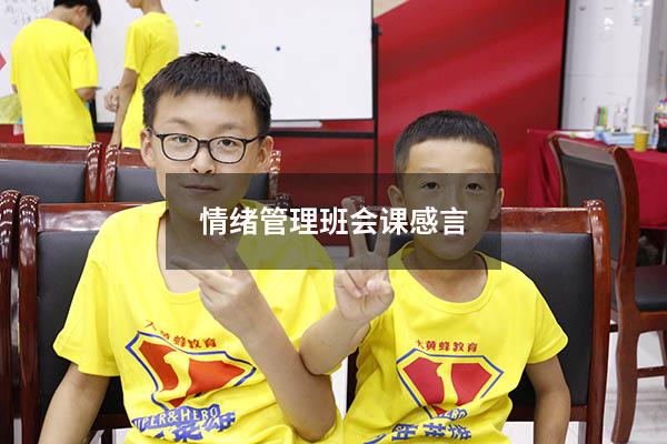 情绪管理班会课感言