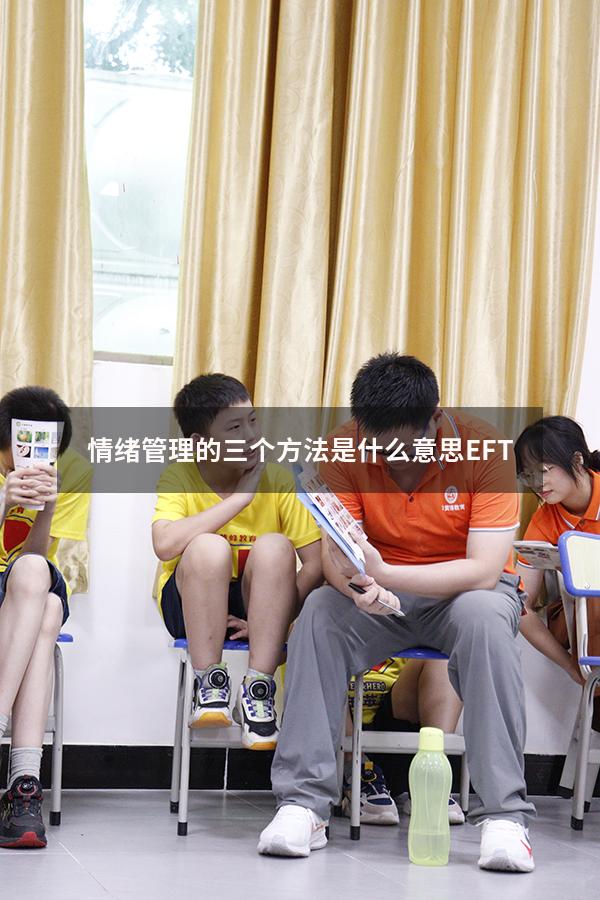 情绪管理的三个方法是什么意思EFT8816