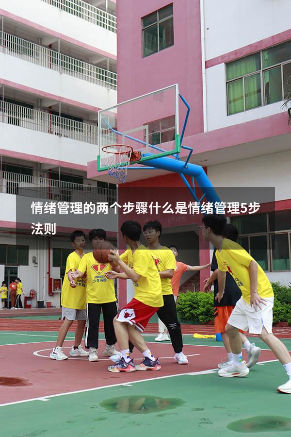 情绪管理的两个步骤（什么是情绪管理5步法则）