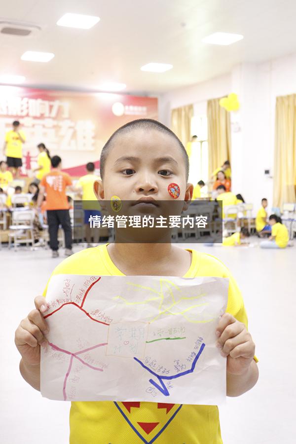 情绪管理的主要内容