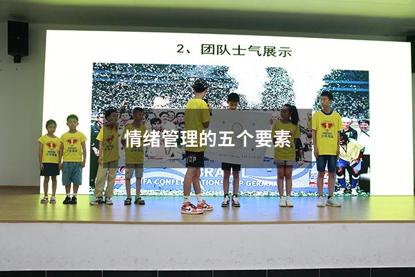 情绪管理的五个要素