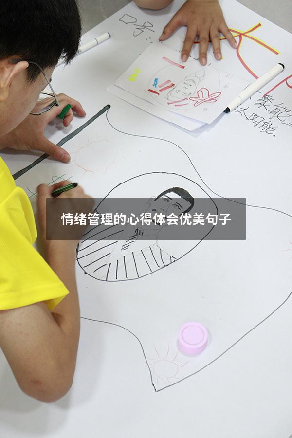 情绪管理的心得体会优美句子