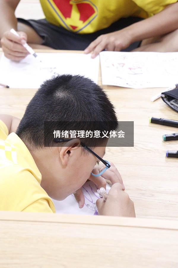 情绪管理的意义体会