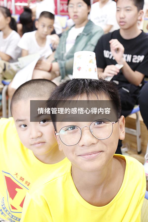 情绪管理的感悟心得内容