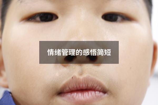 情绪管理的感悟简短