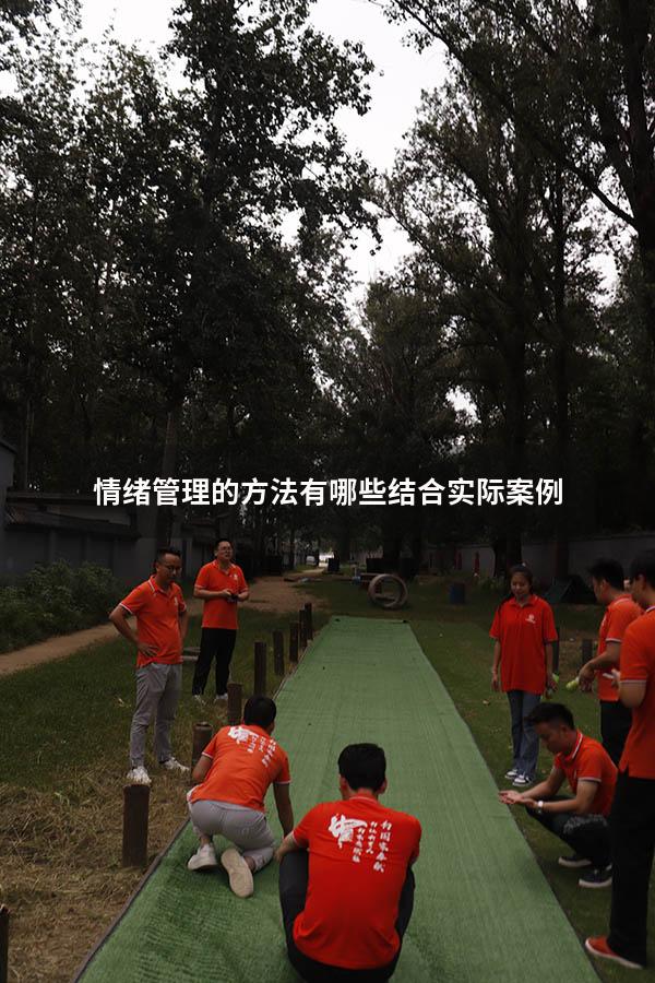 情绪管理的方法有哪些结合实际案例