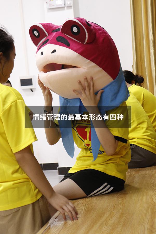 情绪管理的最基本形态有四种