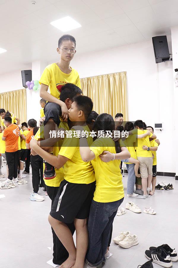 情绪管理的本质及目的