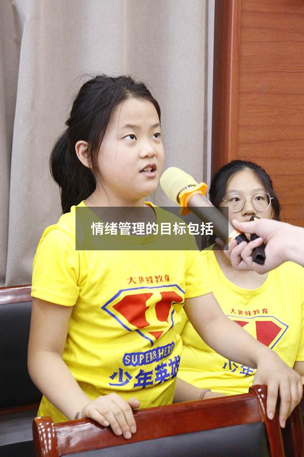 情绪管理的目标包括