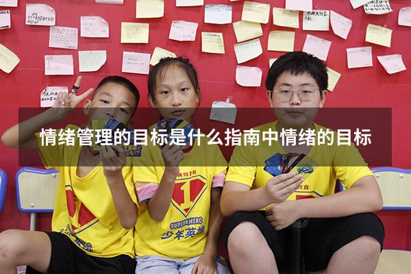 情绪管理的目标是什么（指南中情绪的目标）