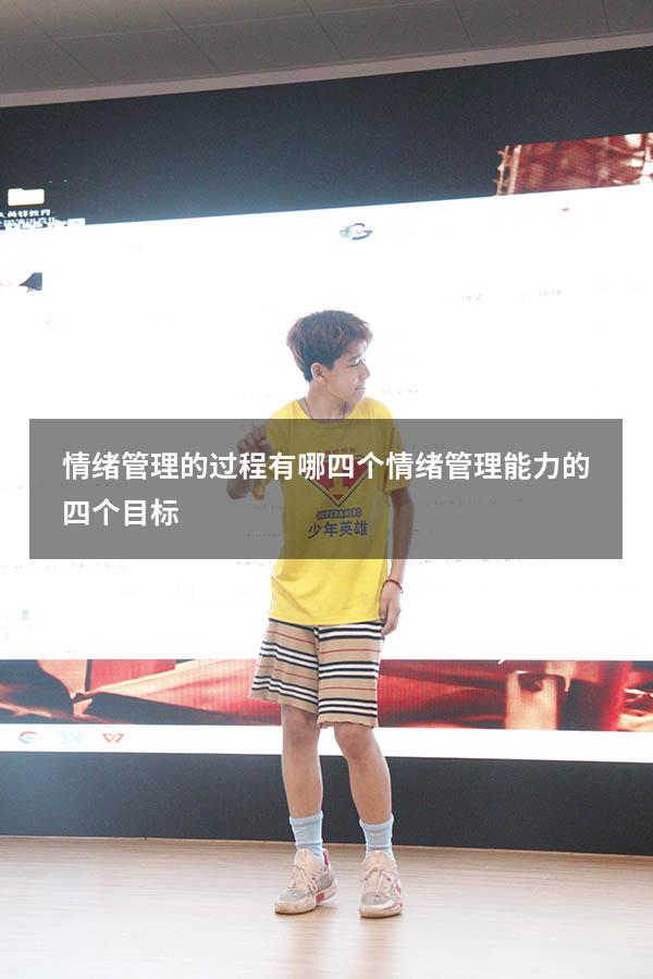 情绪管理的过程有哪四个（情绪管理能力的四个目标）