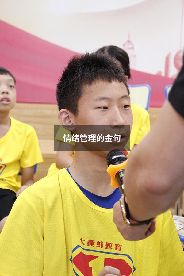 情绪管理的金句