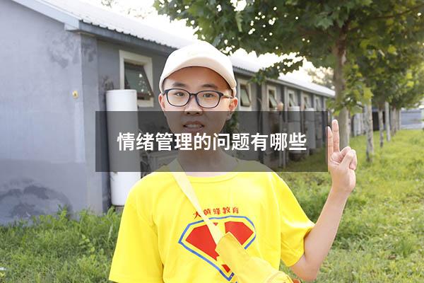 情绪管理的问题有哪些