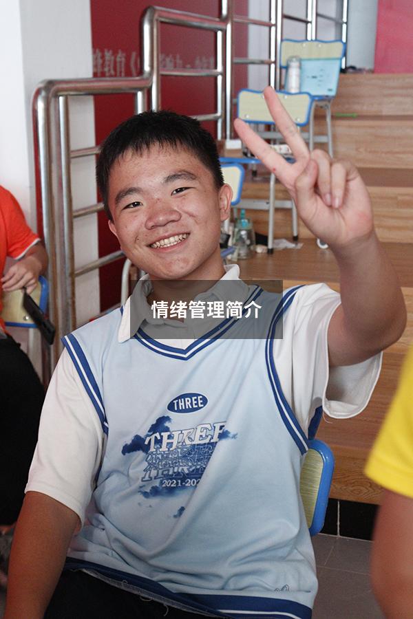 情绪管理简介