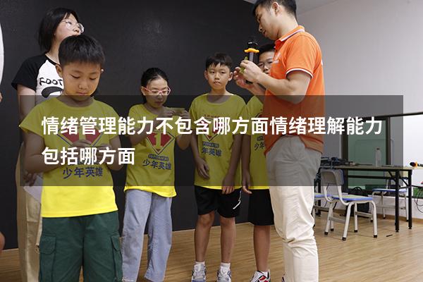 情绪管理能力不包含哪方面（情绪理解能力包括哪方面）
