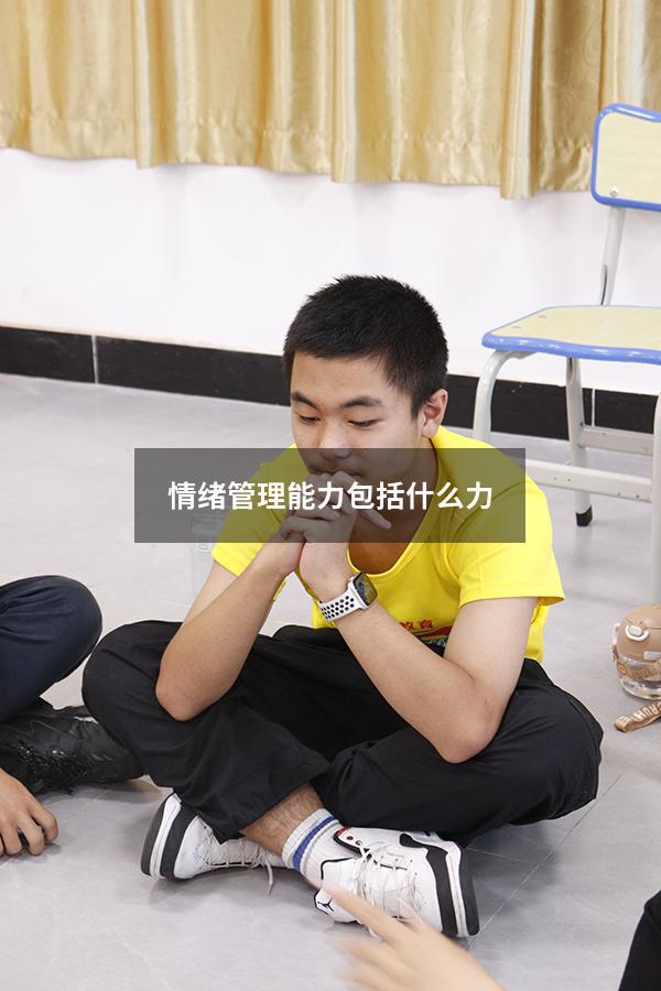 情绪管理能力包括什么力
