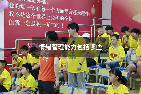 情绪管理能力包括哪些