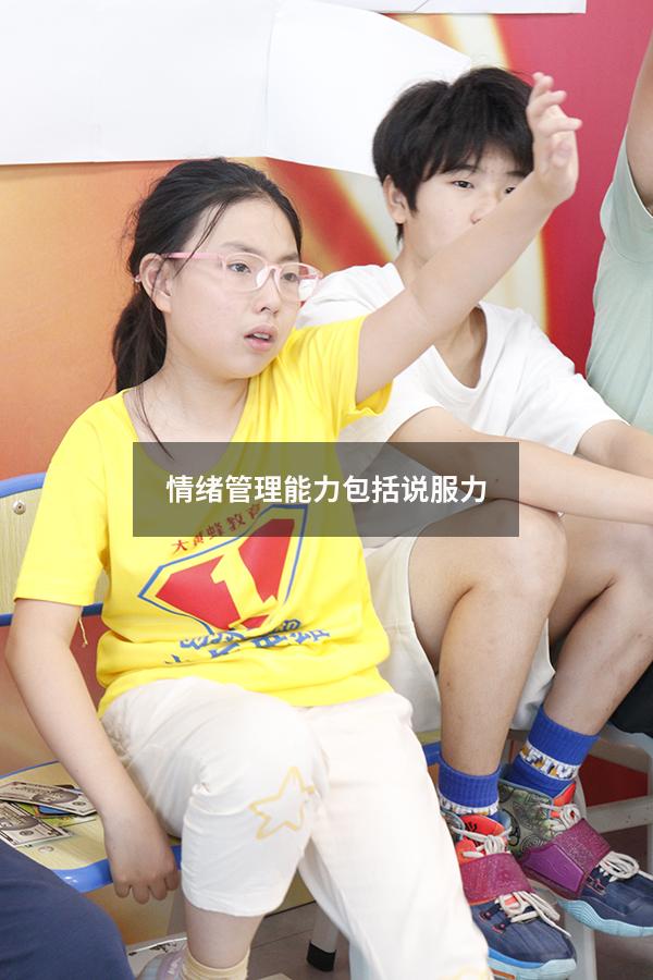 情绪管理能力包括说服力