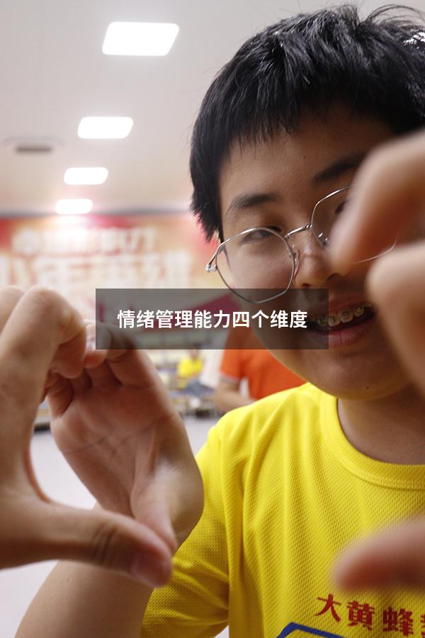 情绪管理能力四个维度